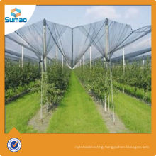 Professional windbreak fencing mesh made in China